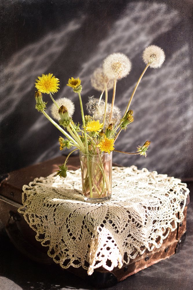 Photograph by Марина Хаева