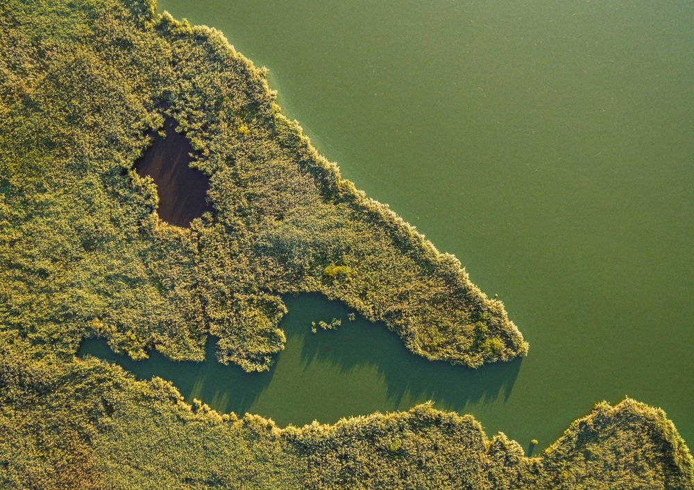 Photograph by Ádám Fáth