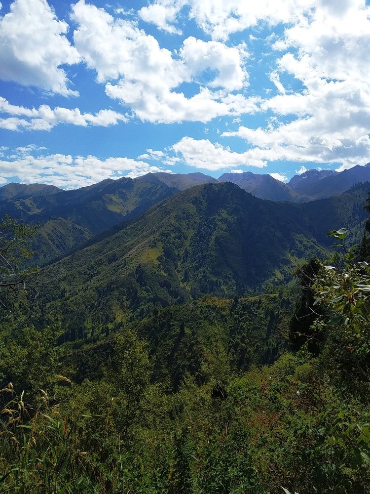 Photo #4936986