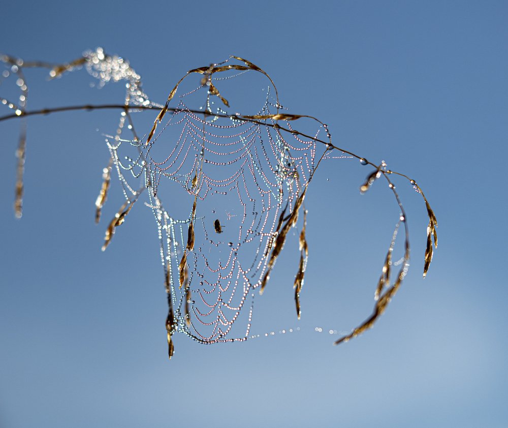 Photograph by Юрий Чернов