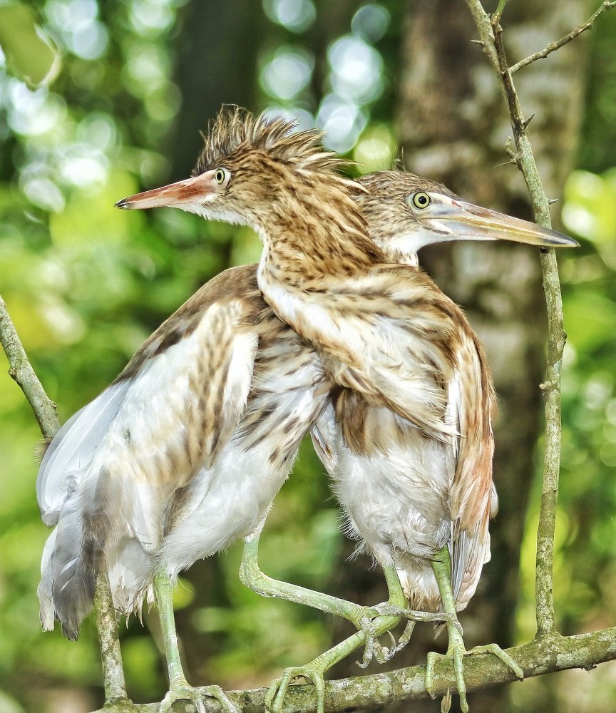 Photograph by jahid  kazi