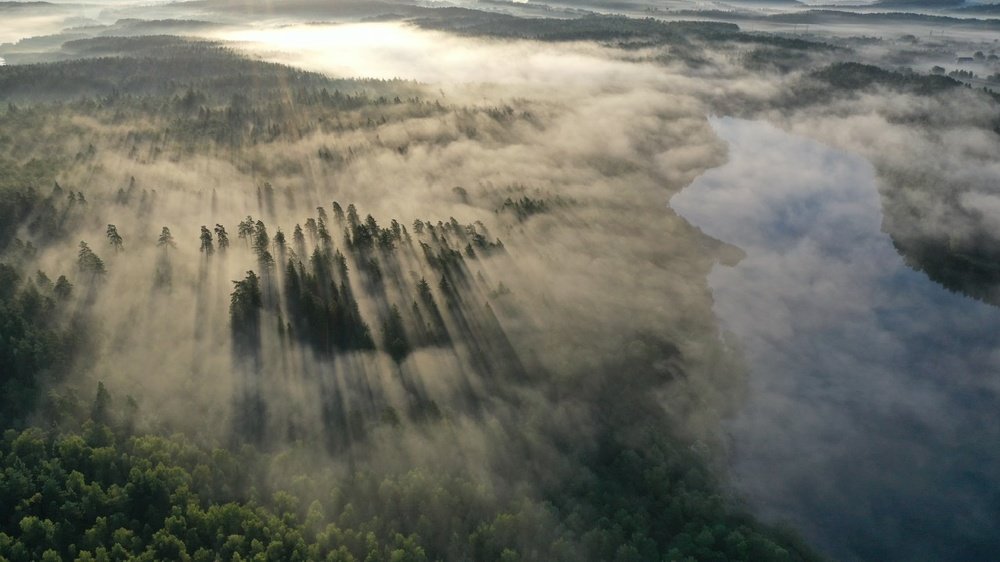 Photograph by Анатолий Андреев