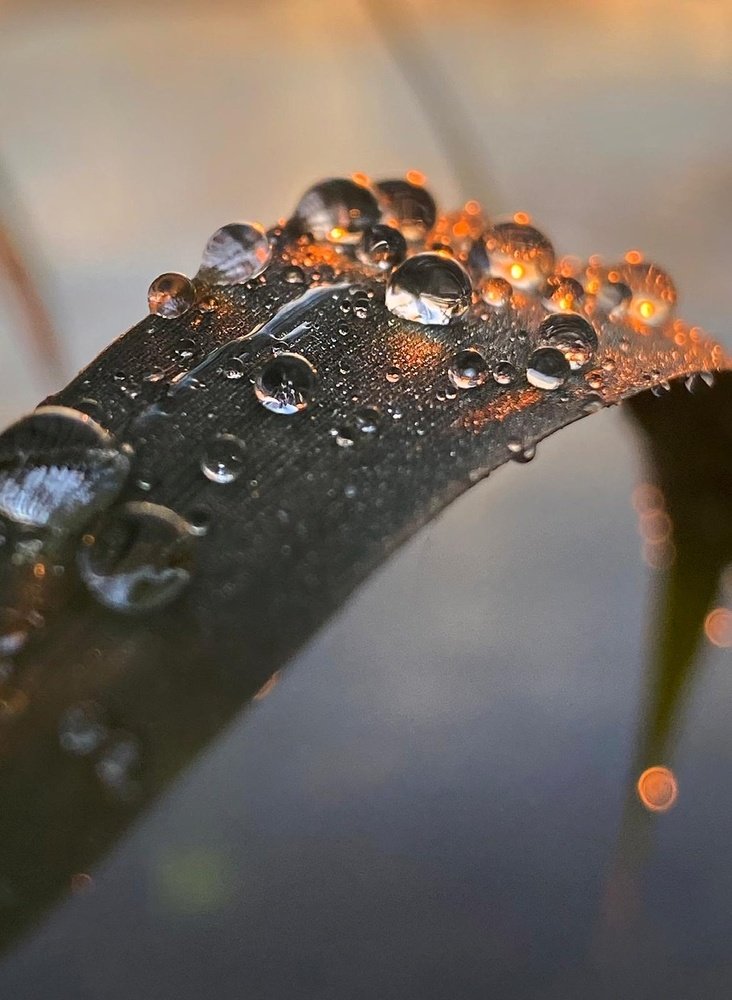 Photograph by Анатолий Андреев