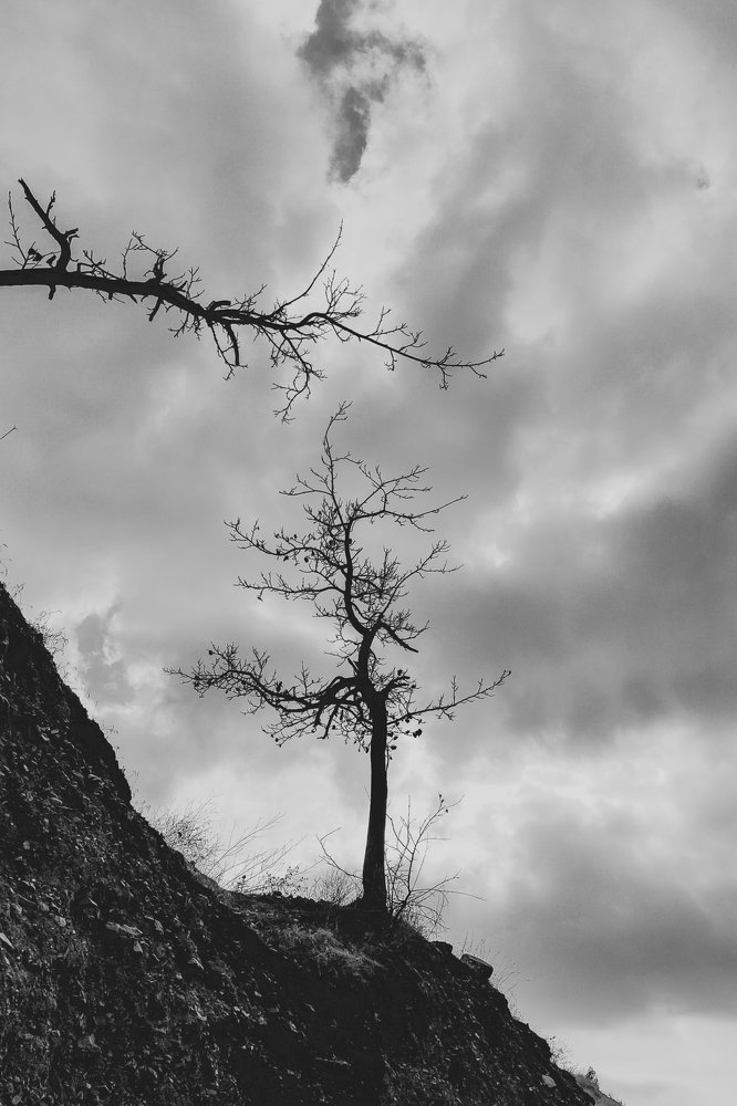 Edge of life