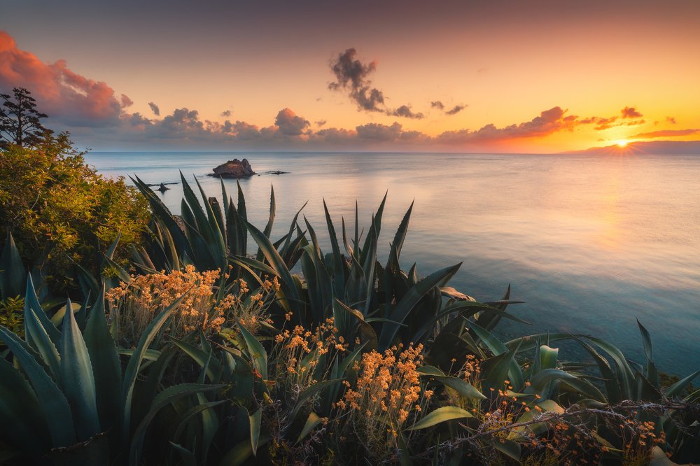 Photograph by Evgeni Fabis