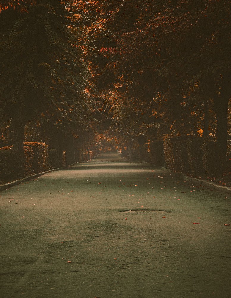 Photograph by Ярослав Акопян