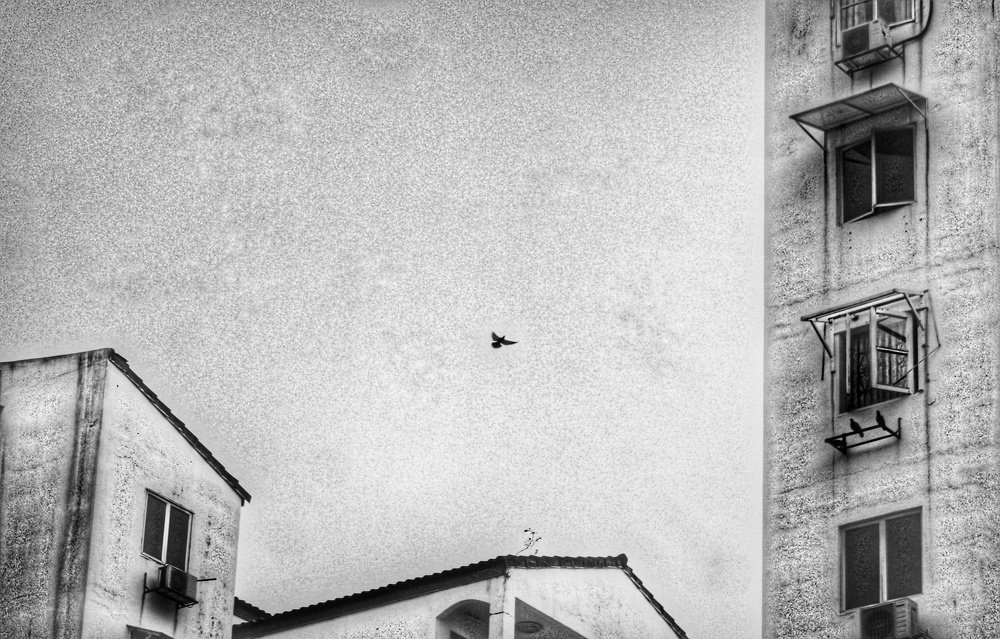 Photograph by Islam Jamirul