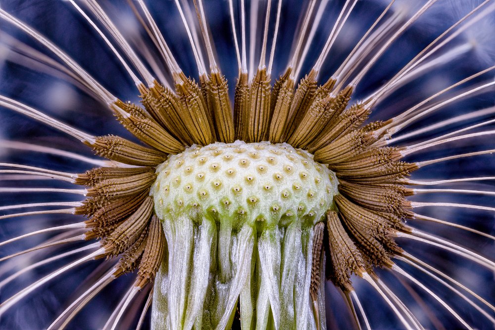 Photograph by Tomas Hora