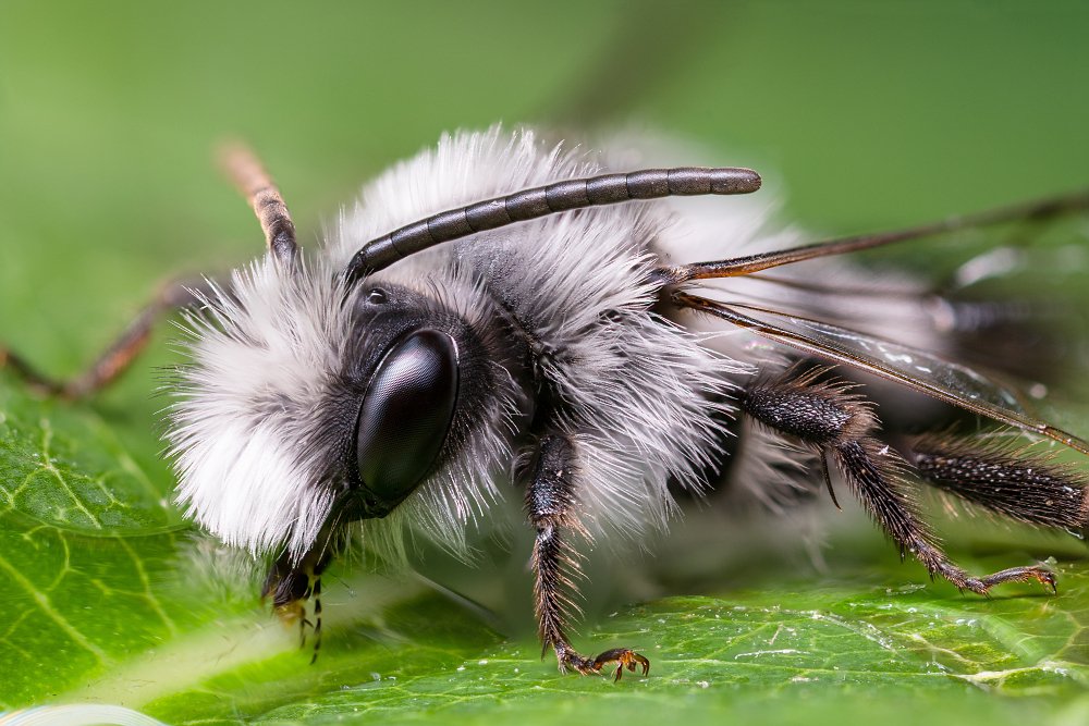 Photograph by Tomas Hora