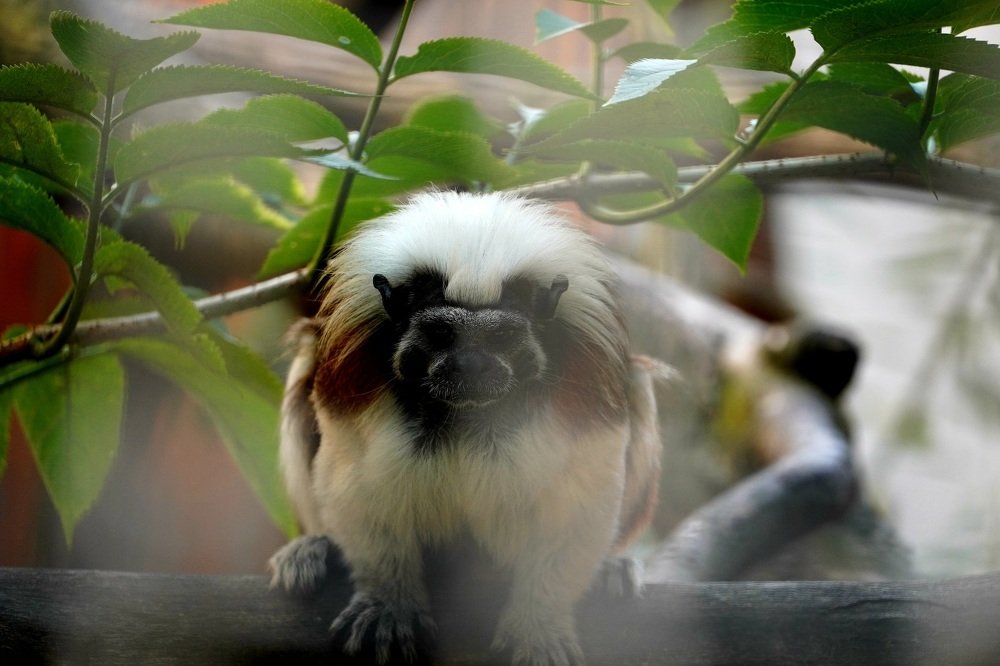 Photograph by Vajna Imre