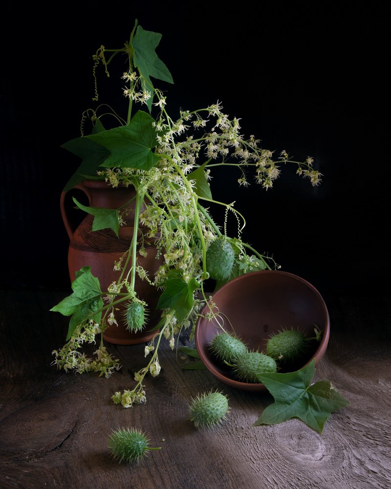 Photograph by Spasskova Tatiana