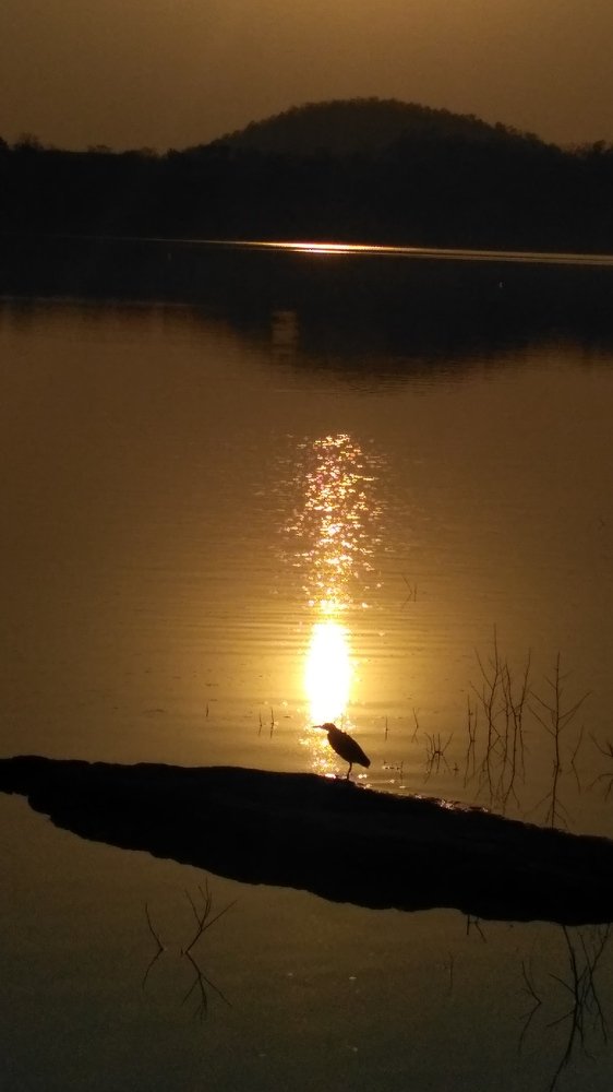 Фотография автора Parag Purkar