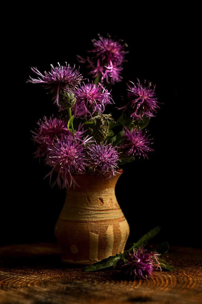 Букет чертополоха.