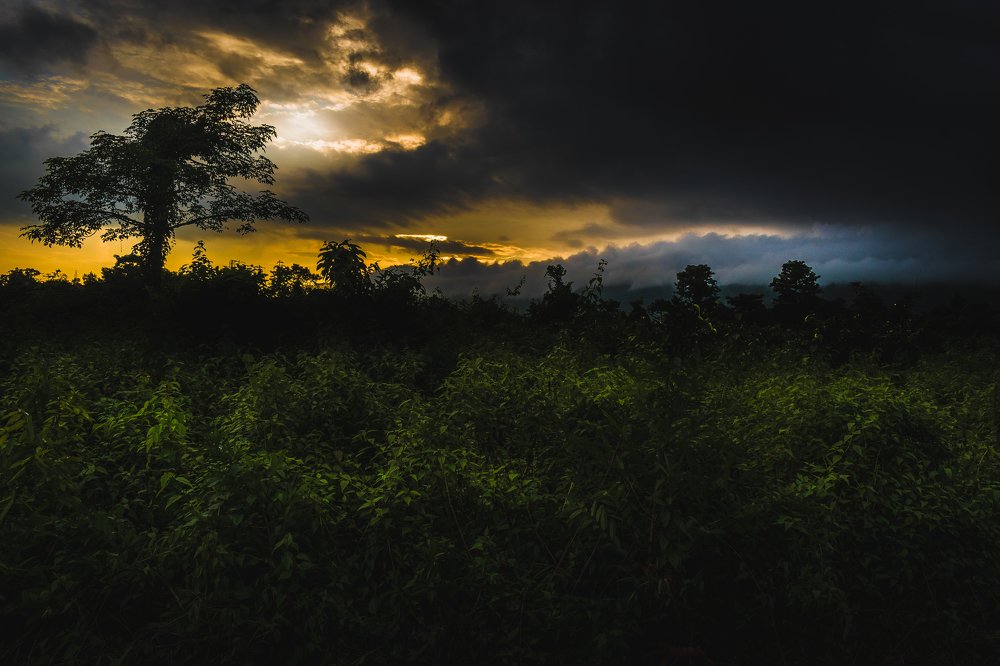 Photograph by Avik Mukherjee