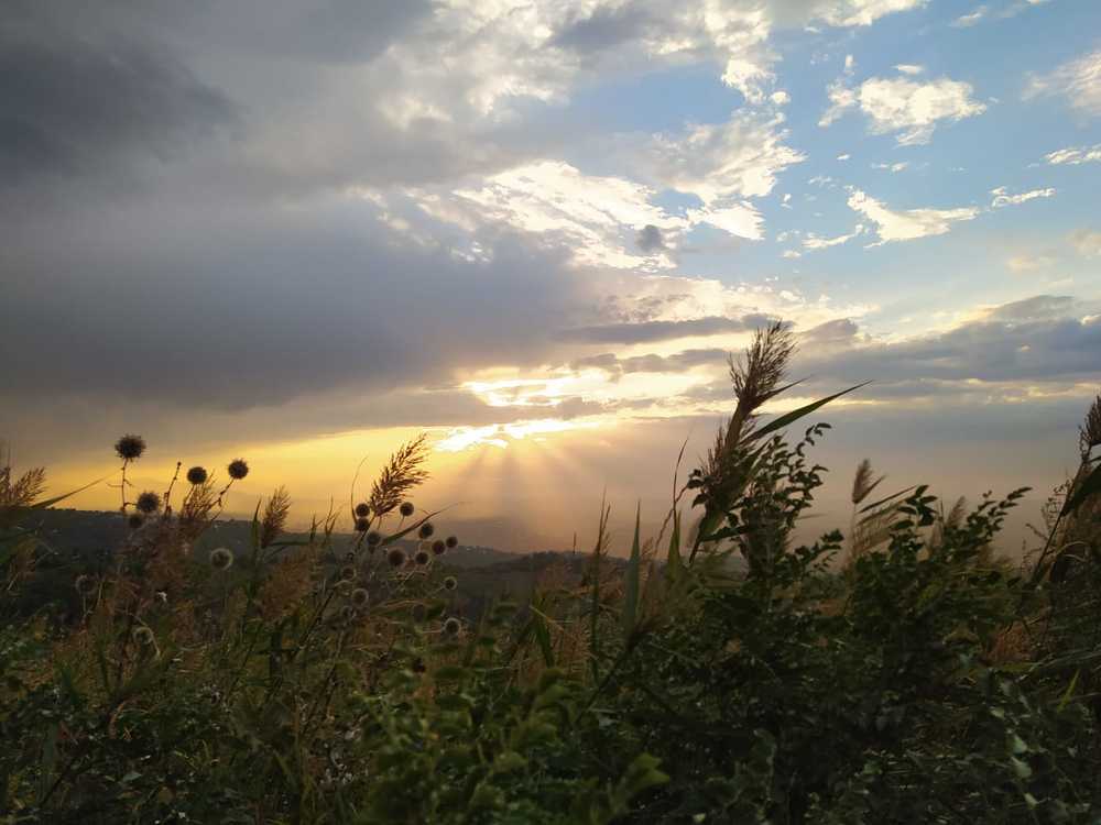 Photograph by Ольга Ипакевич