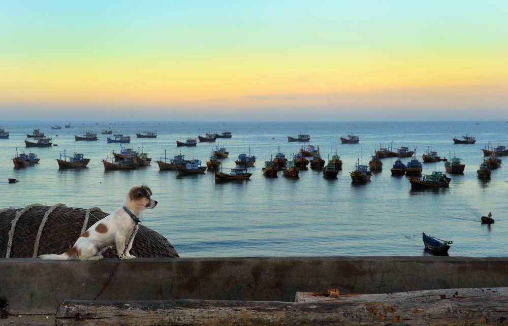 Photograph by Светлана Борозенцева