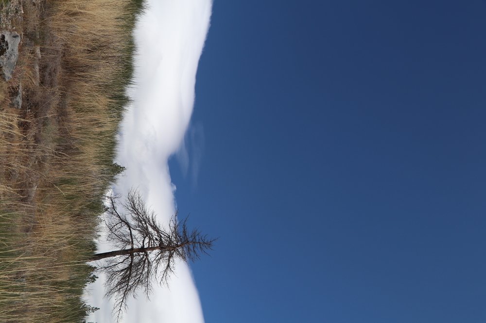 Photograph by José Cruz