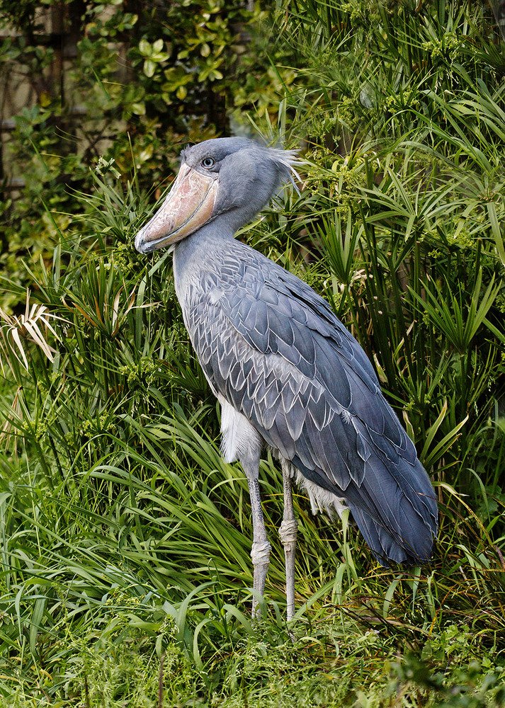 Photograph by Савина Галина