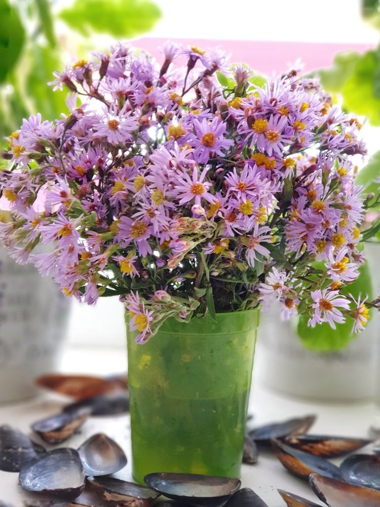 Photograph by Инна Федорова