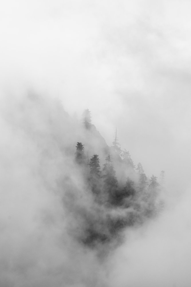 Photograph by Razvan Iliescu