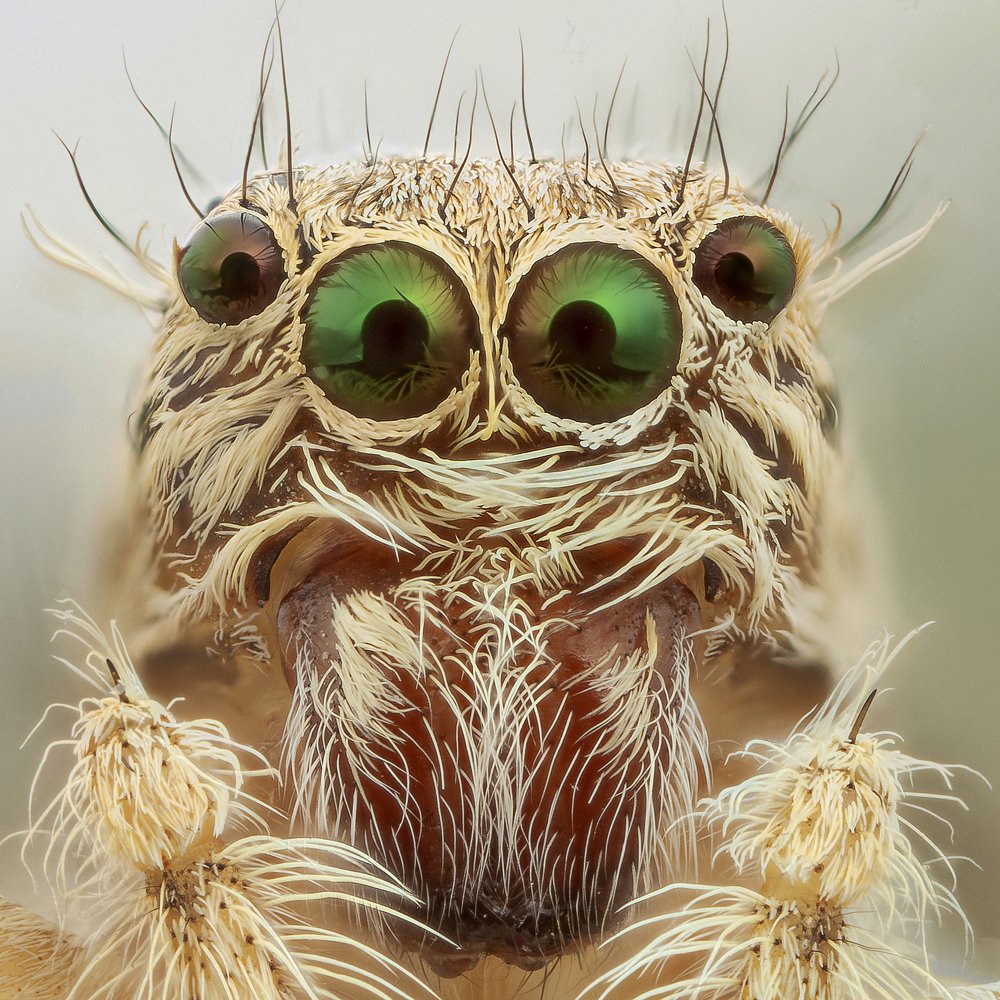 Photograph by Shams Vida