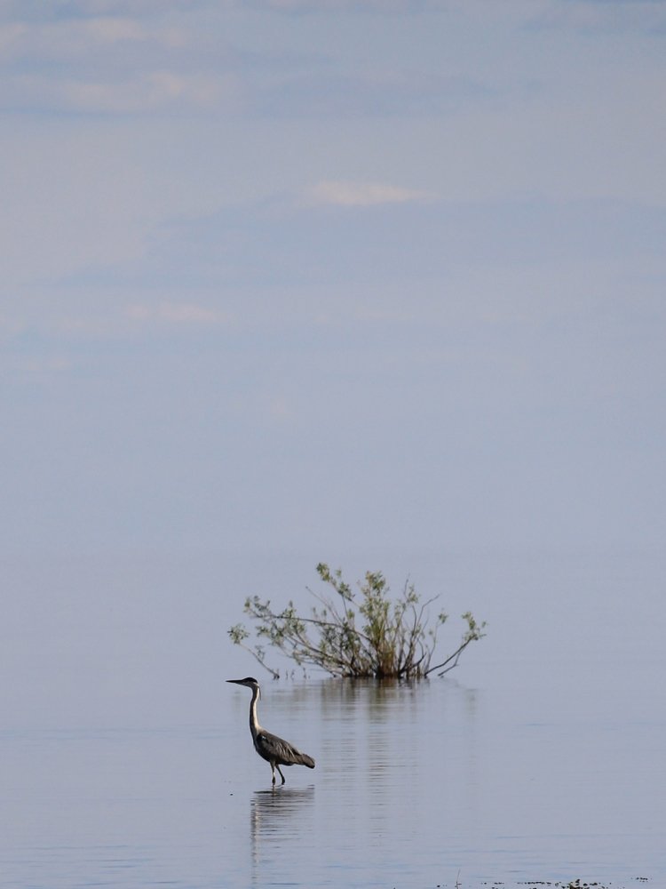 Photograph by Ольга Иртуганова