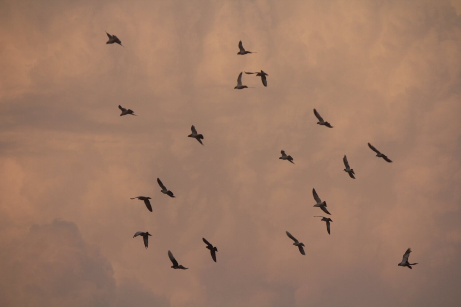 Photo #4937896