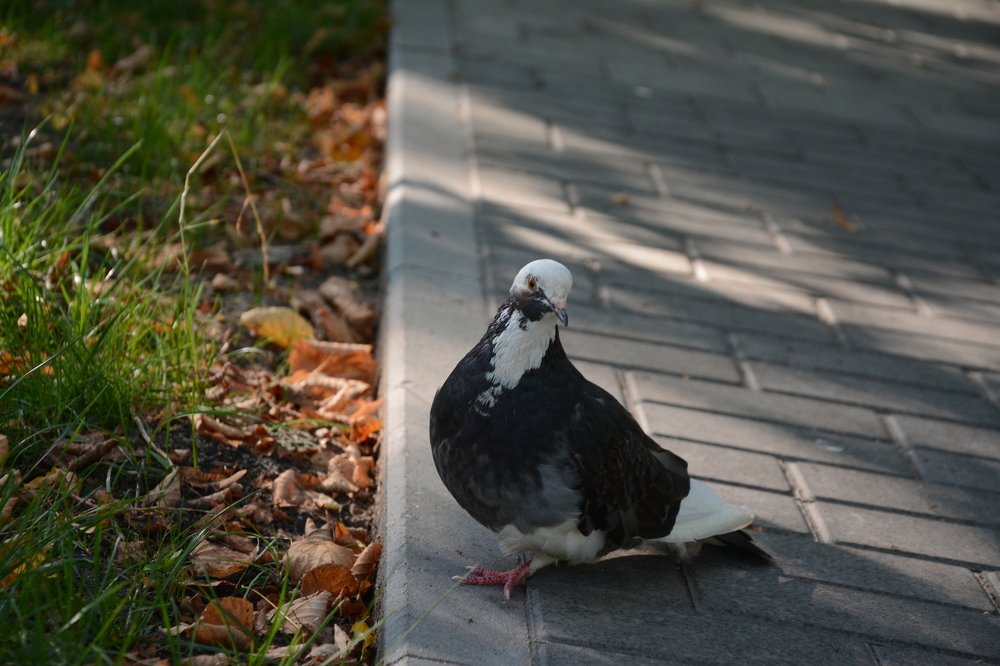 Photograph by Ольга Истомина