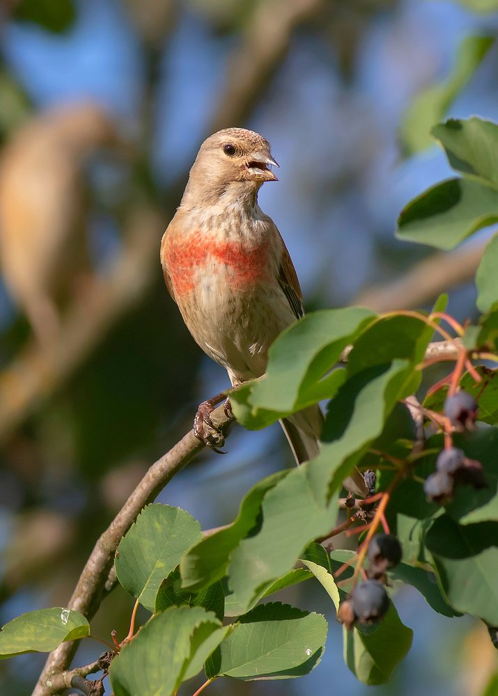 Photograph by Александр Широких