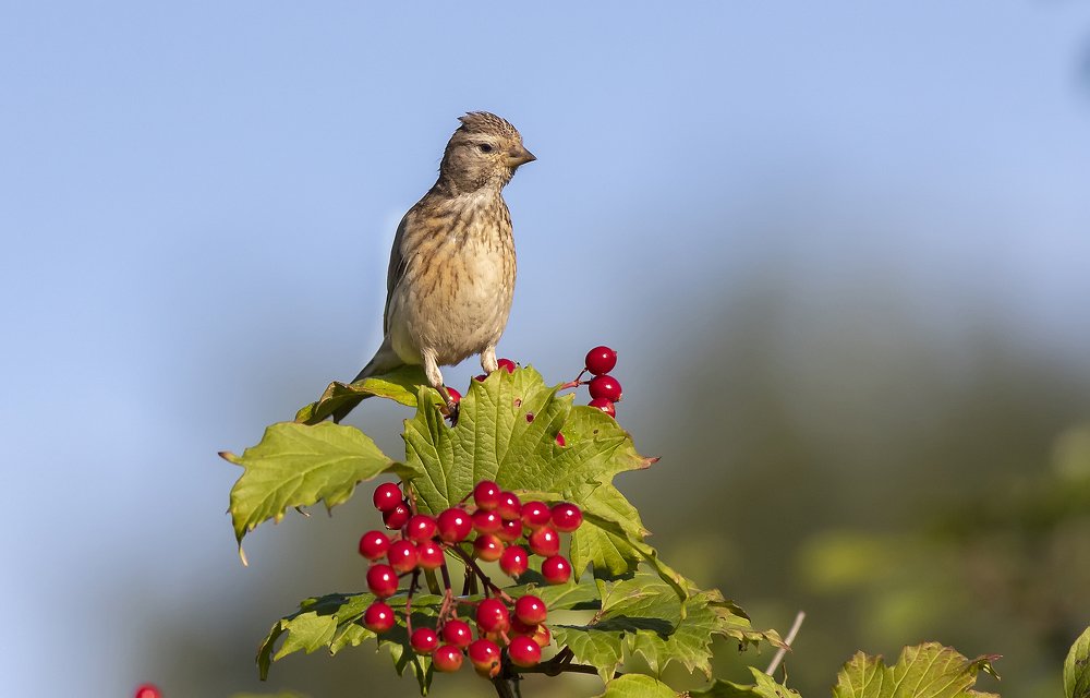 Photograph by Александр Широких