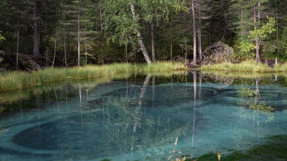 Фотография автора Елена Сова