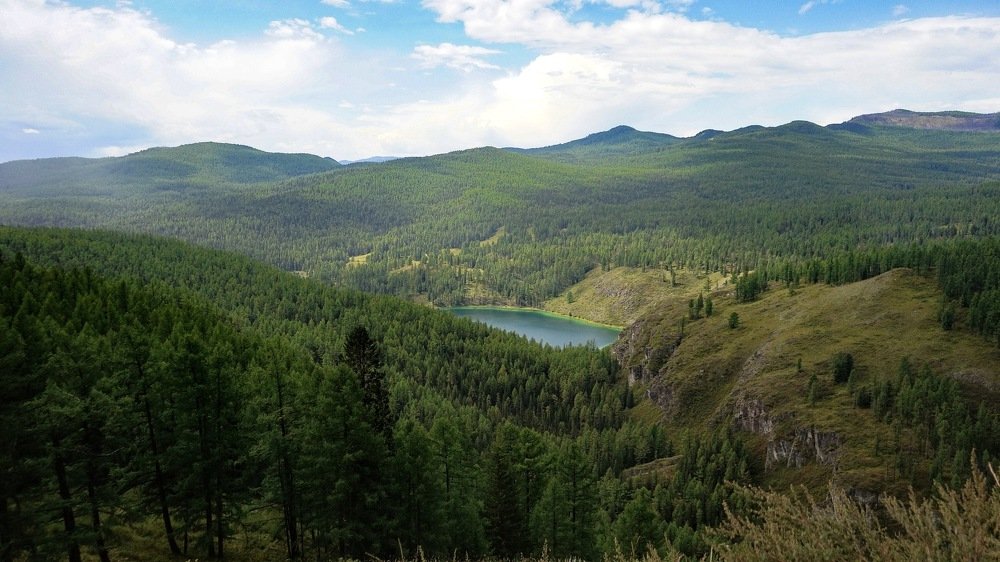 Фотография автора Елена Сова