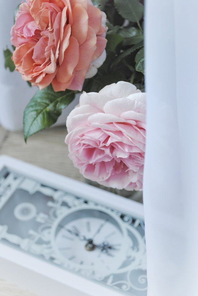 Photograph by Алина