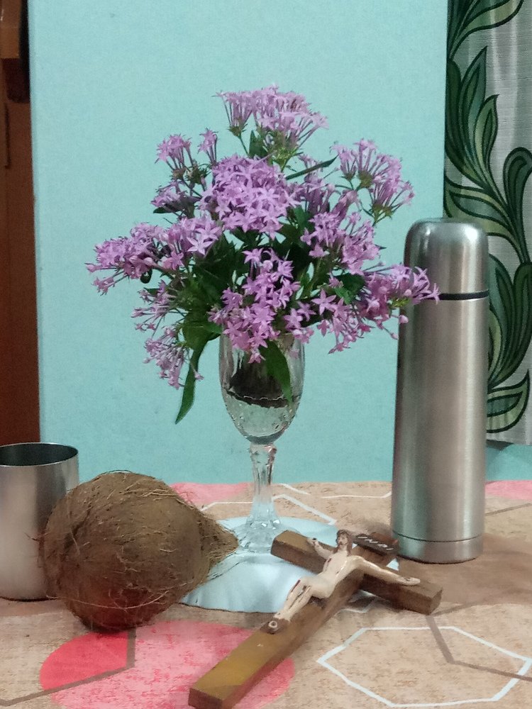 Фотография автора Tom Kottackal