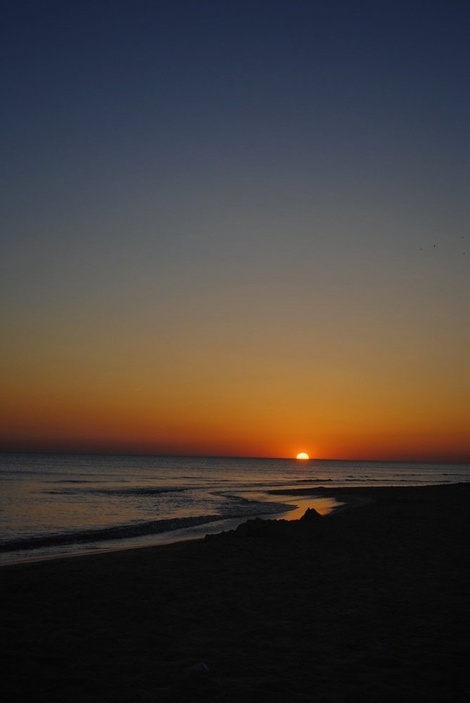 Photograph by Алина