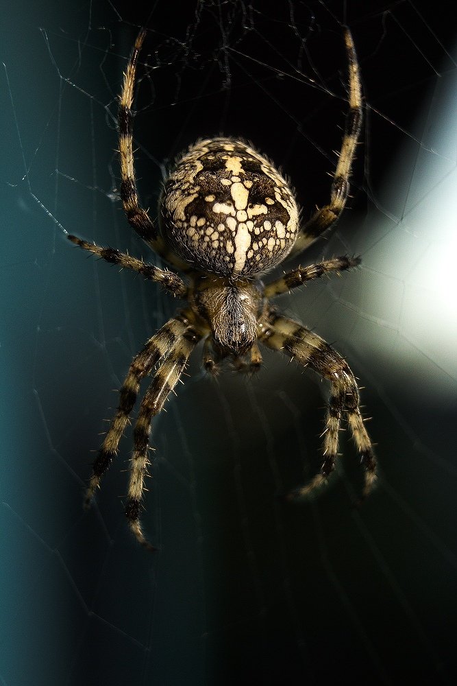 В ожидании....