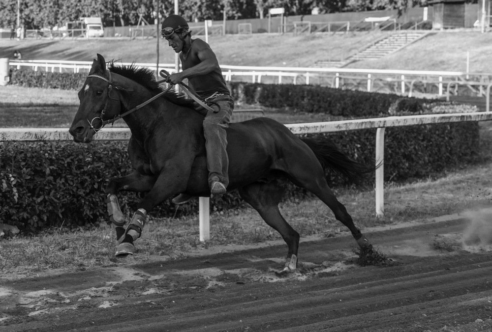 Фотография автора Нина Кулишова