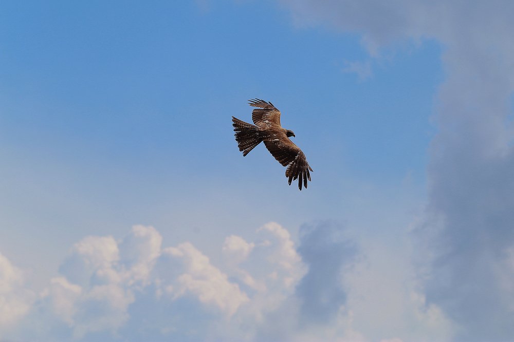 Photograph by Ольга Сапцина