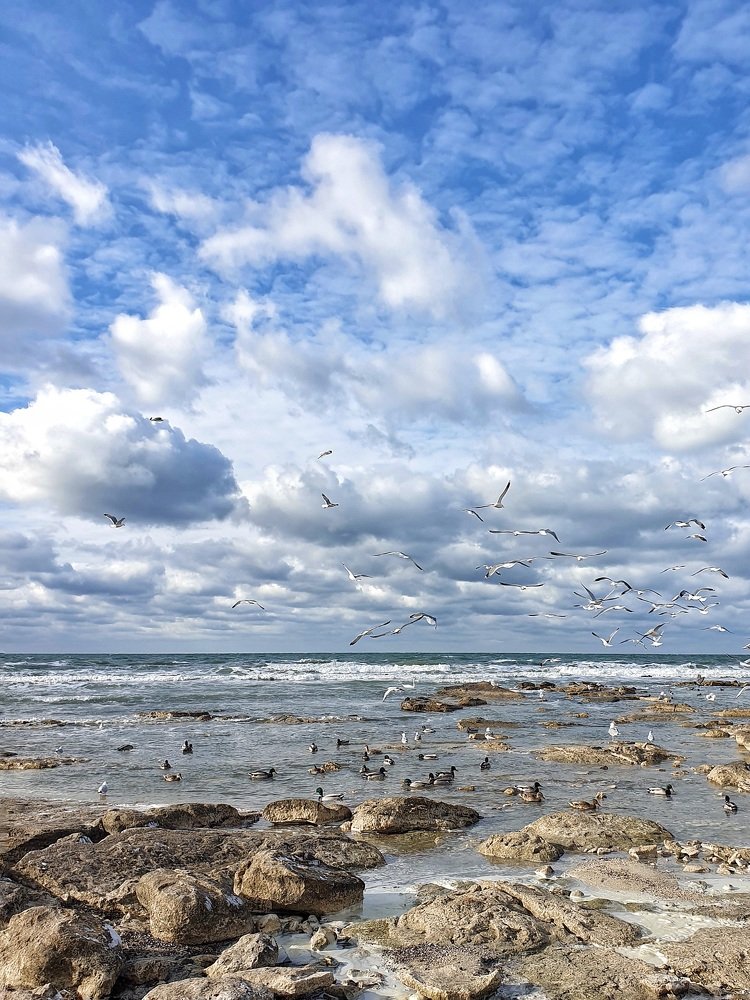 Photograph by Инна Федорова