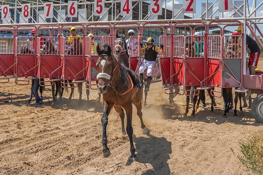 Фотография автора Владимир Пронин