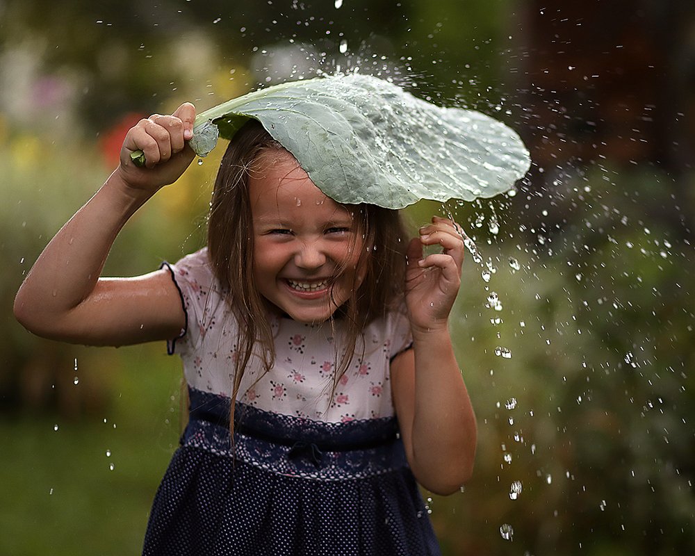 Летний дождь