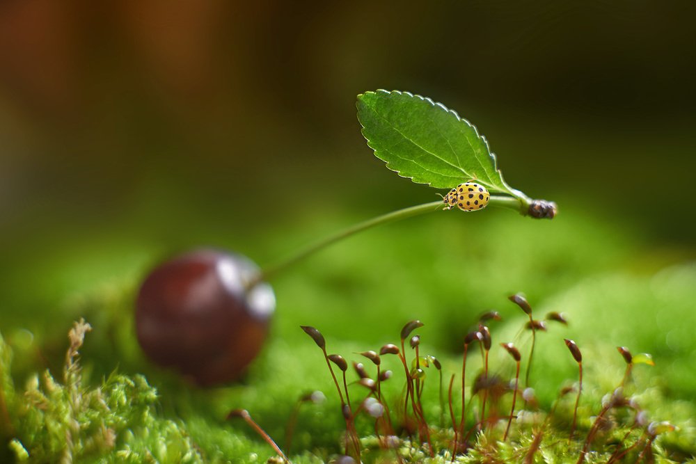 Photograph by Екатерина Глебова