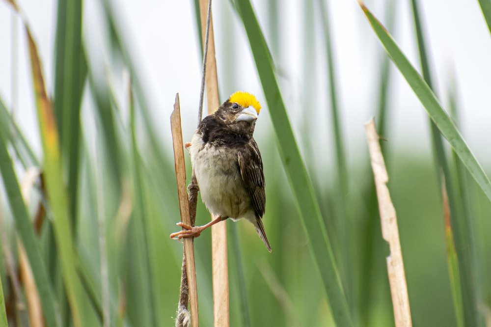 Photograph by mayur shrimali