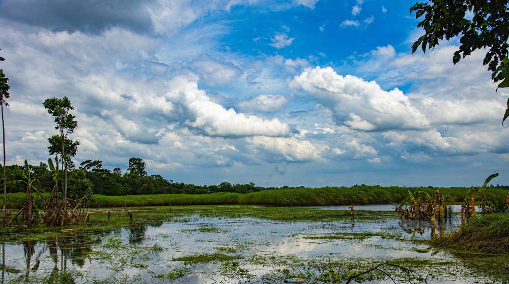 Photograph by A. M. Shafiqul Islam