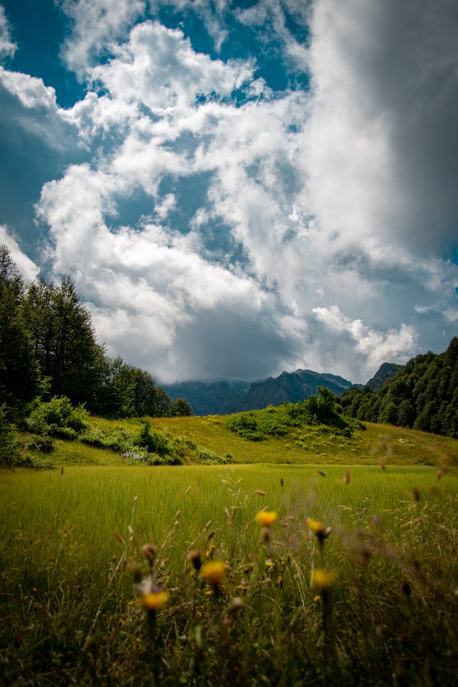 Photograph by Анна Халкониди