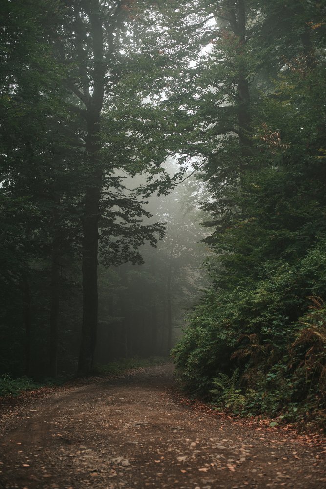 Photograph by Анна Халкониди