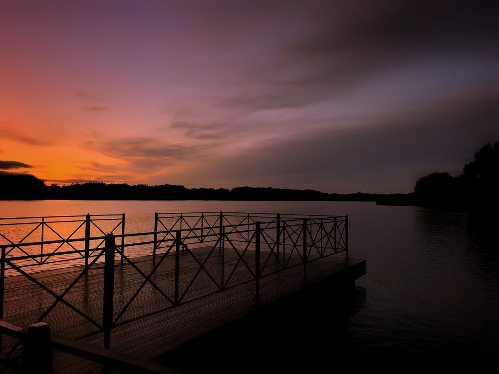 Photograph by Алина