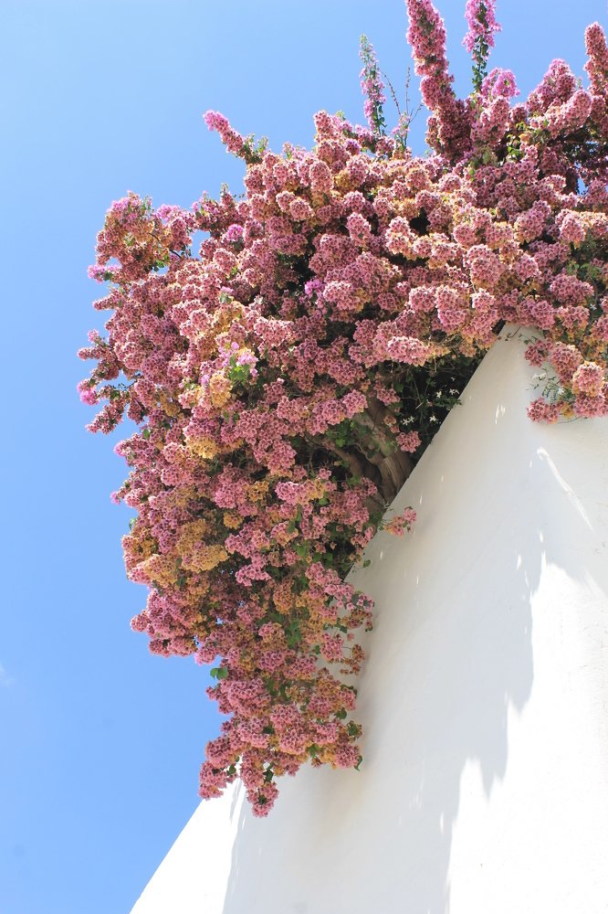 Photograph by Ekaterina