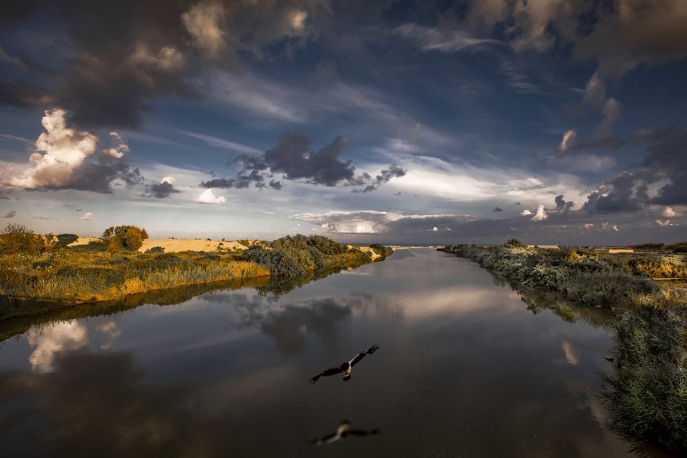 Photograph by Leonid Lan