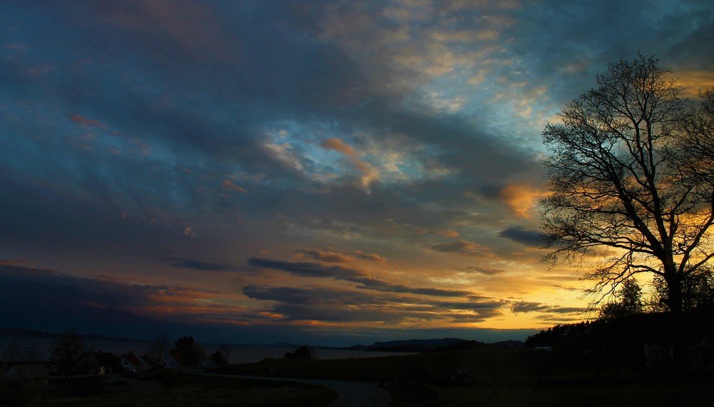 Photograph by Inese Firsova